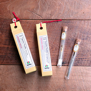 [Tulip] Glass bottle dot needle set (THN-063, THN-064)