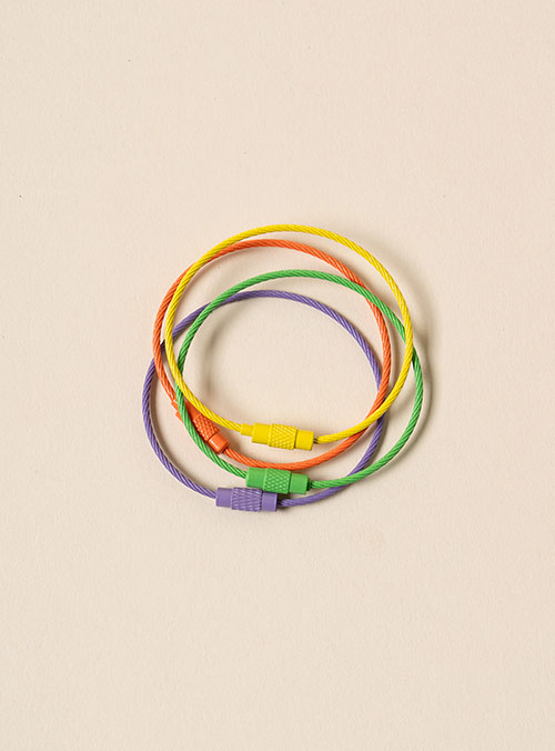 [Metal accessories] Wire key ring