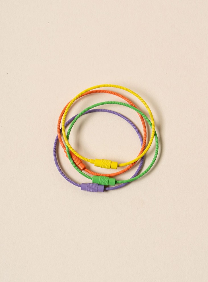 [Metal accessories] Wire key ring